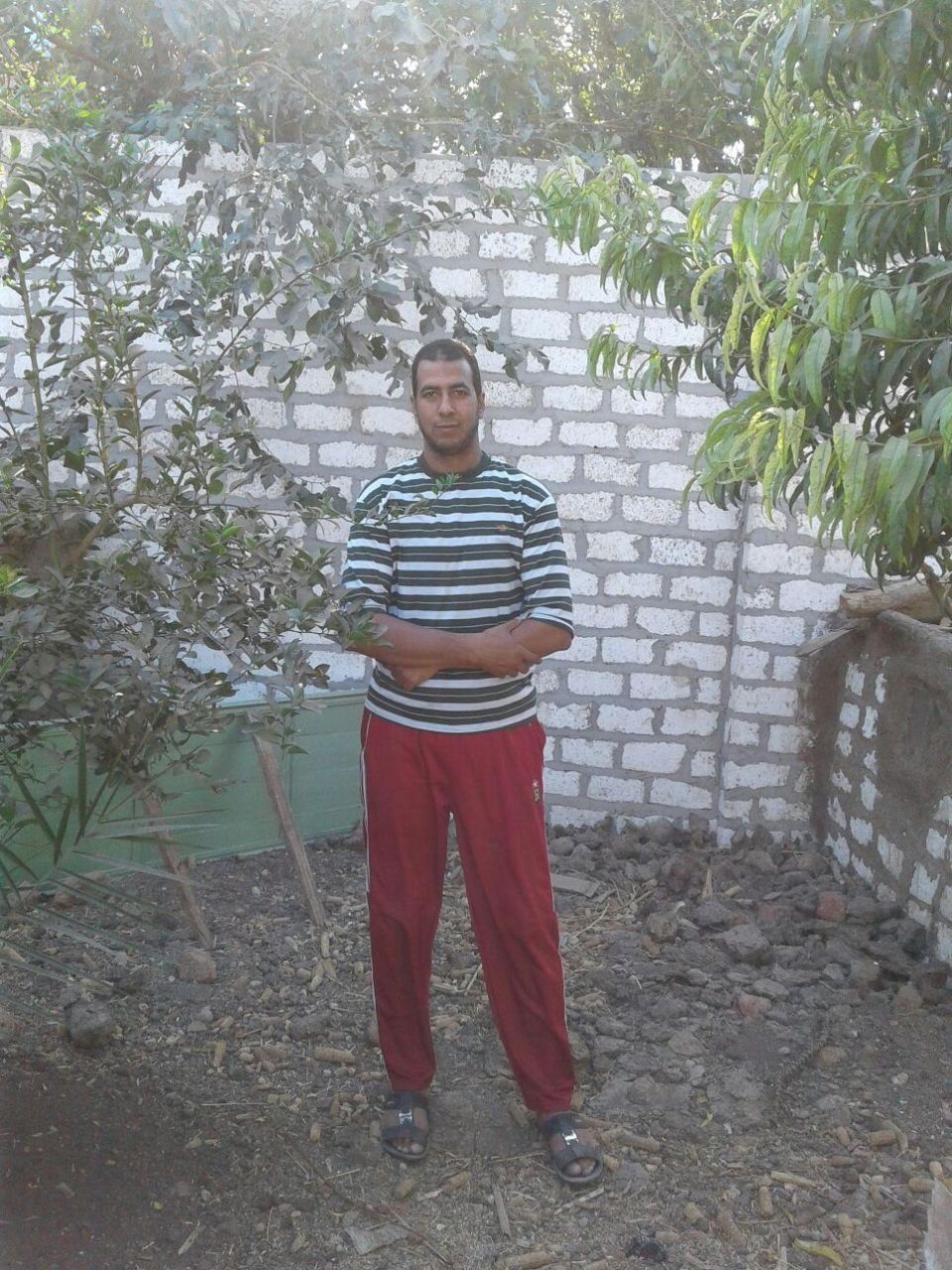 محمد عيسي عبد الوهاب