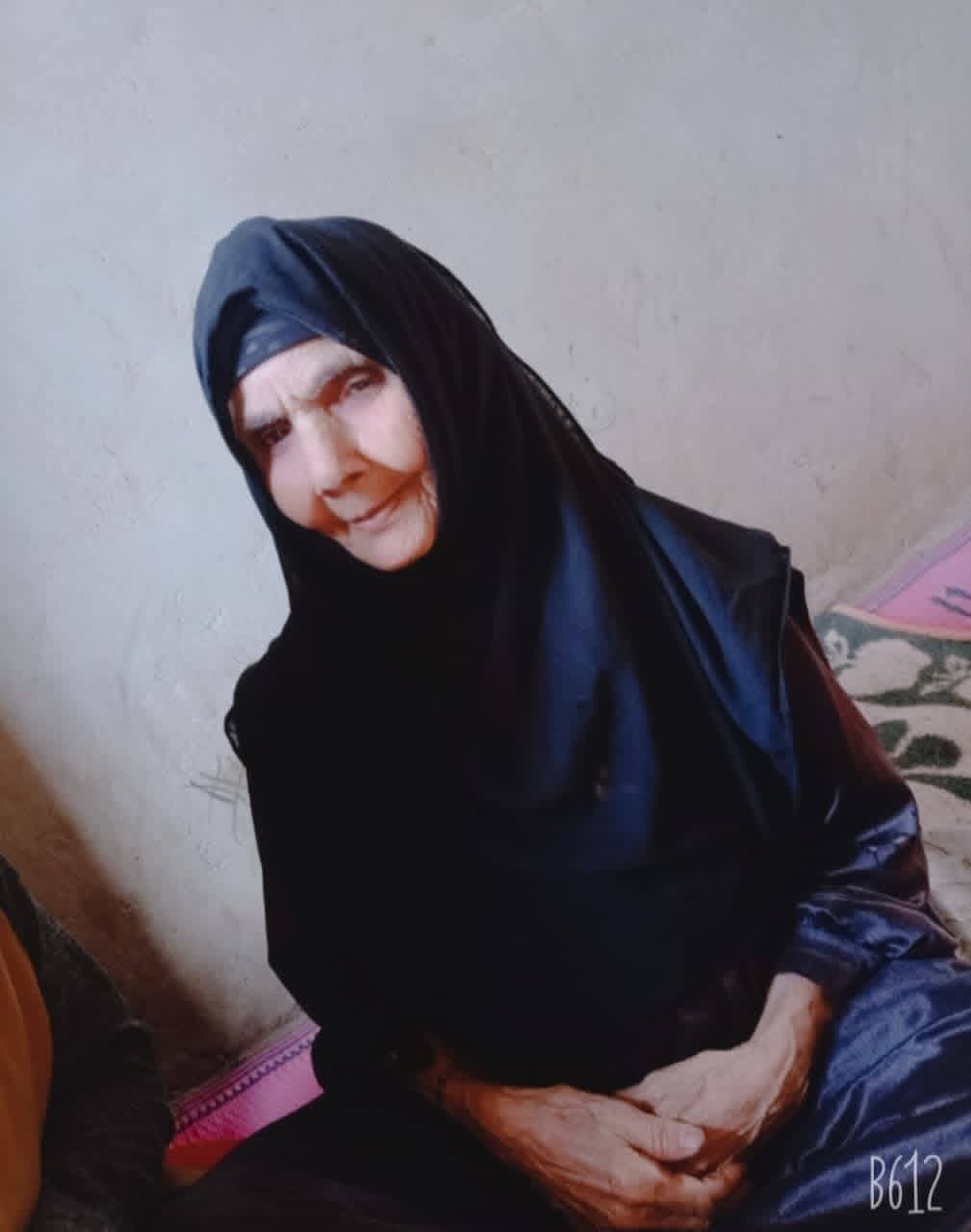 ونيسه احمد حسن