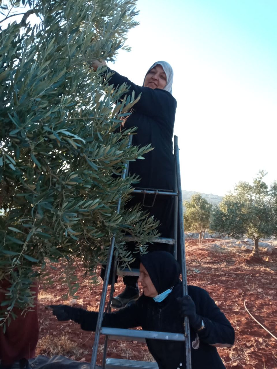 مها عبدالغني