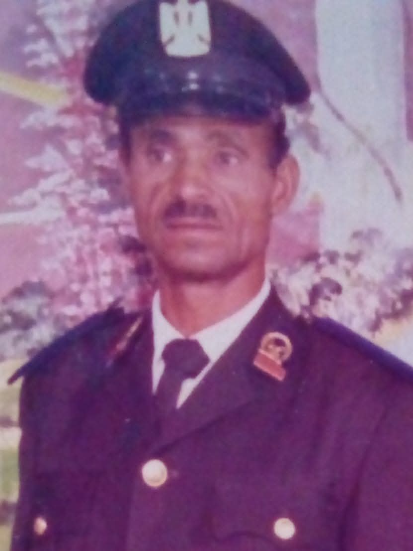 سيف النصر محمد محمود