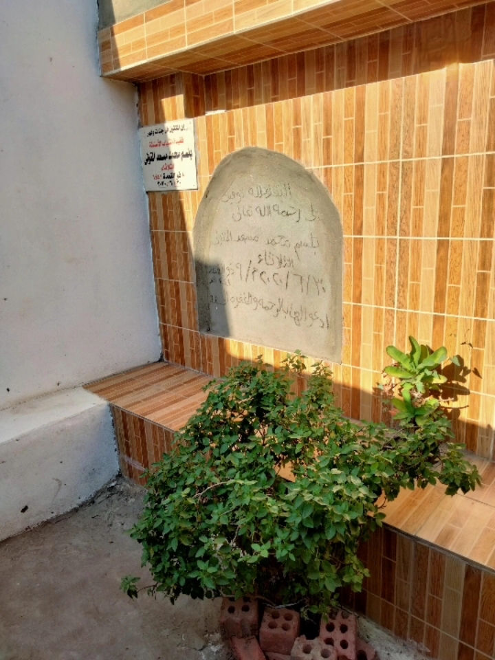 بلسم محمد مسعد