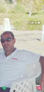 علاء الدين محمد كامل