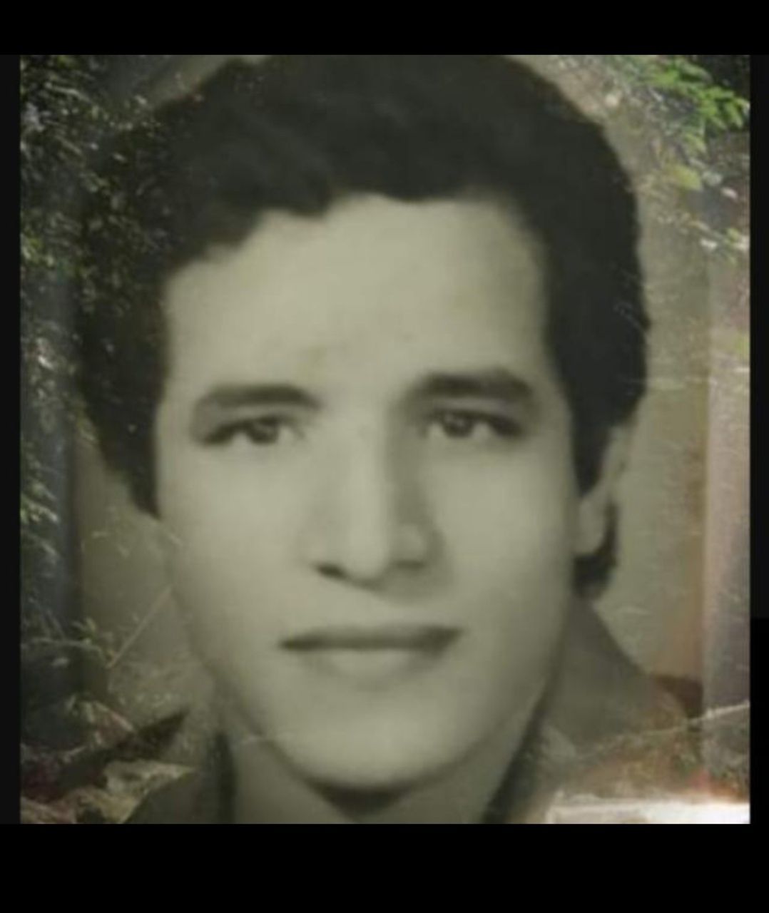 يوسف الشعراوي