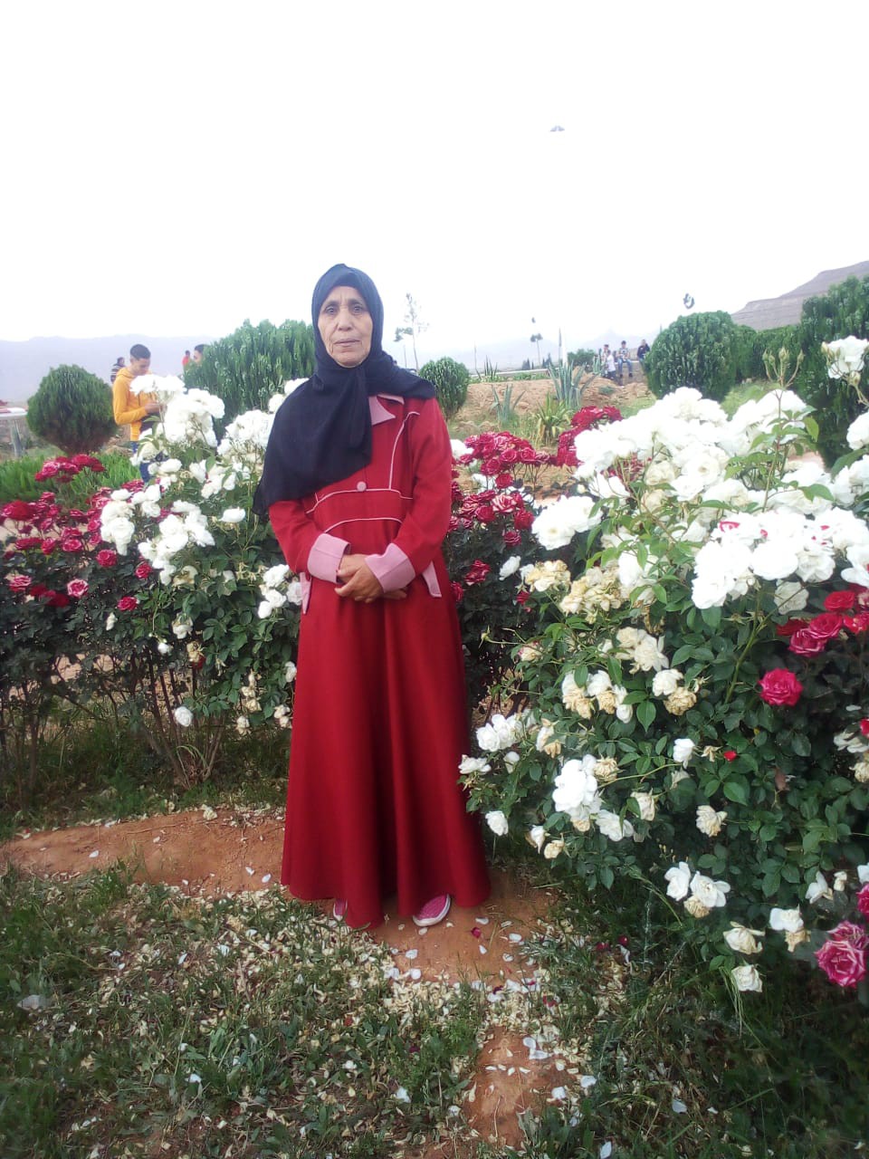 هشيمة العثماني