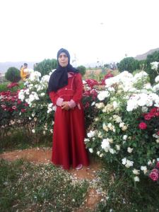 هشيمة العثماني