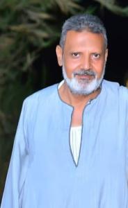 محمد محمد حافظ