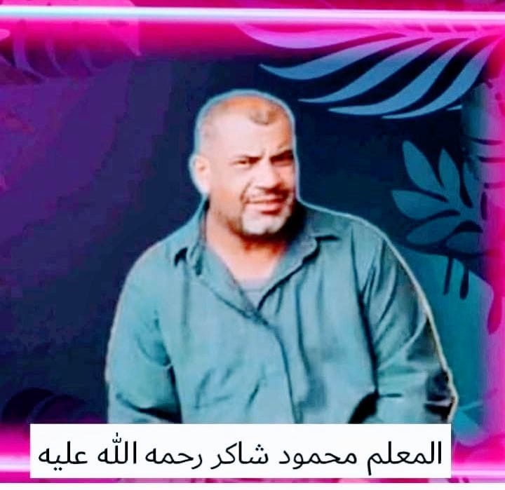 محمود شاكر محمود