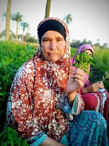 ام خالد حمدي محمد