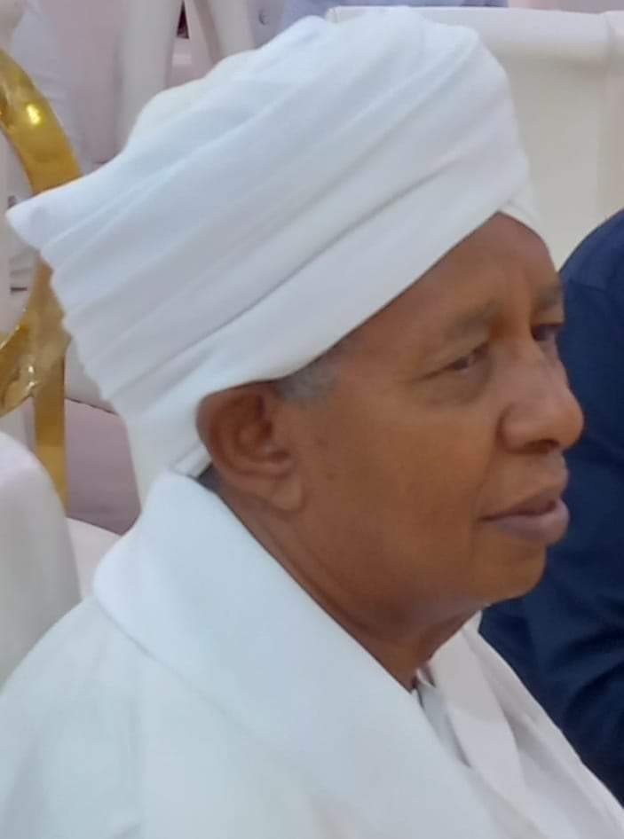 محمد الفاضل حسن بشير عبدالله