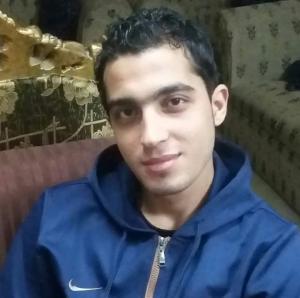 احمد الغرابلى