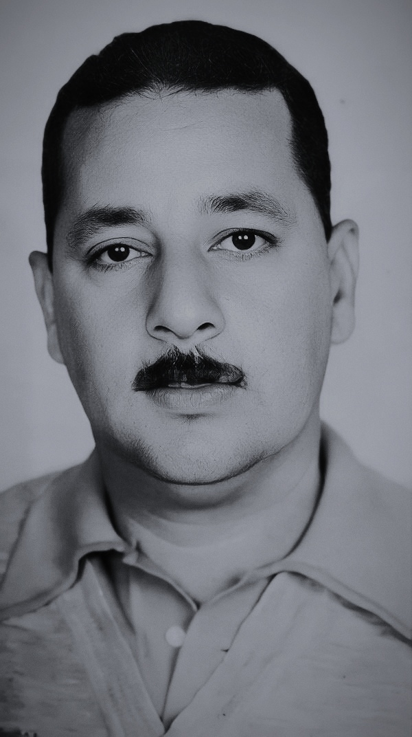 عزت السيد عبدالحى