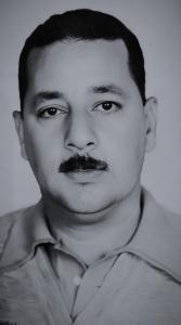 عزت السيد عبدالحى