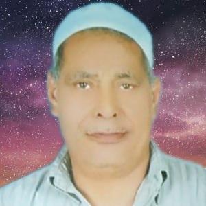 محمود ابراهيم هريدى