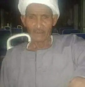 محمد النوبي