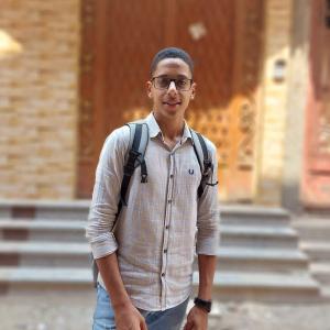 إبراهيم محمد شكر