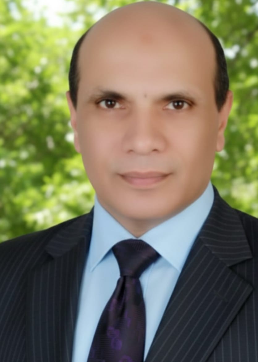 المهندس رفعت ذكي علام