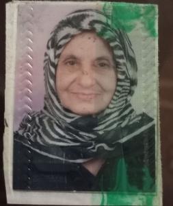 لواحظ السيد المسيري