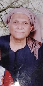 محمد عبدالحميد محمود علي