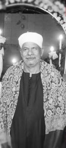 السعيد محمد مرسي