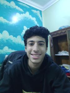 محمود محمد مرعي