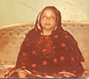 زينب محي الدين الطيب