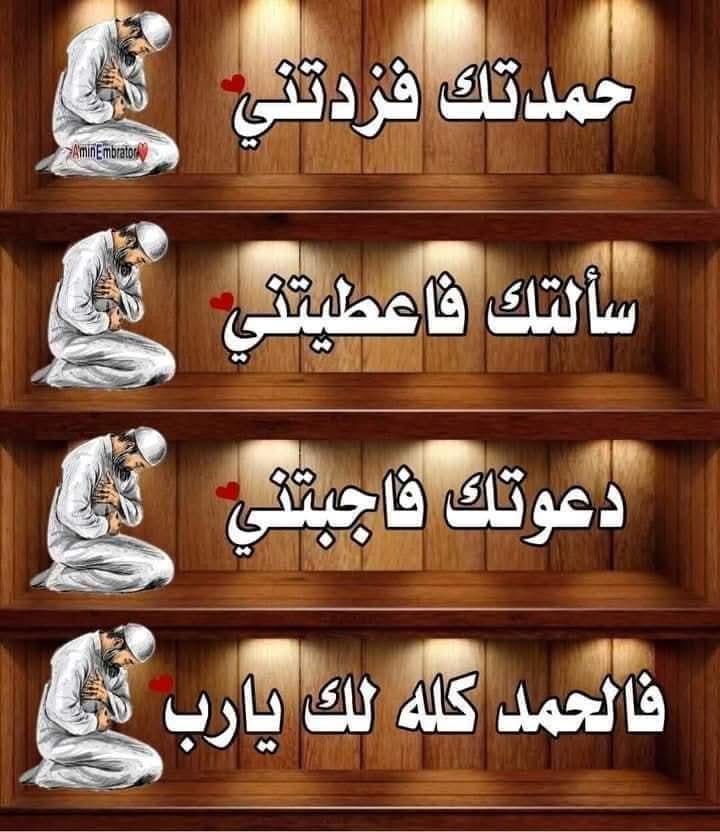 على محمد على