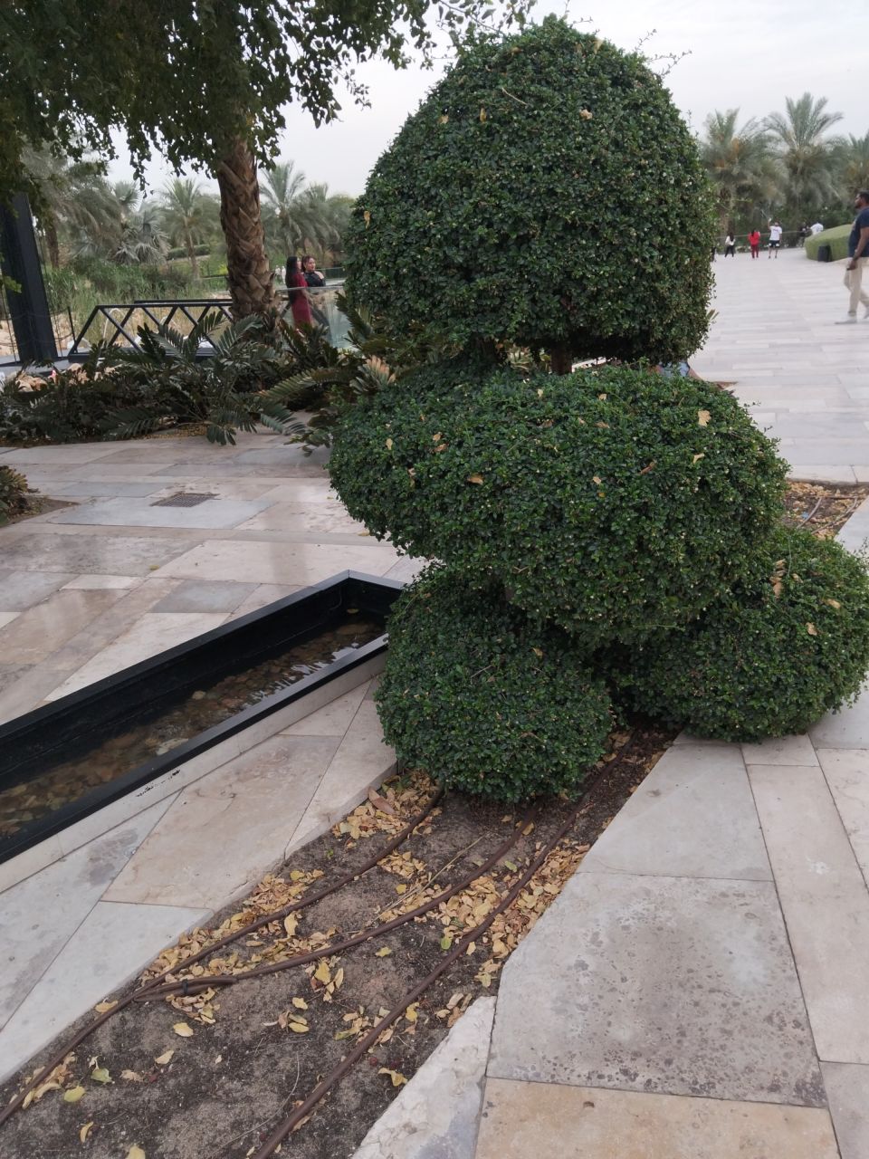 هدى شعبان هاشم أحمد