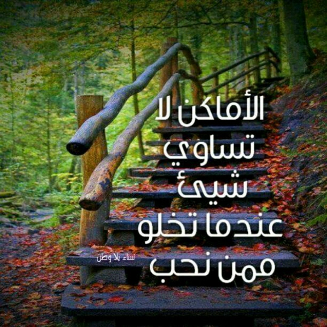 فوزية عتمان