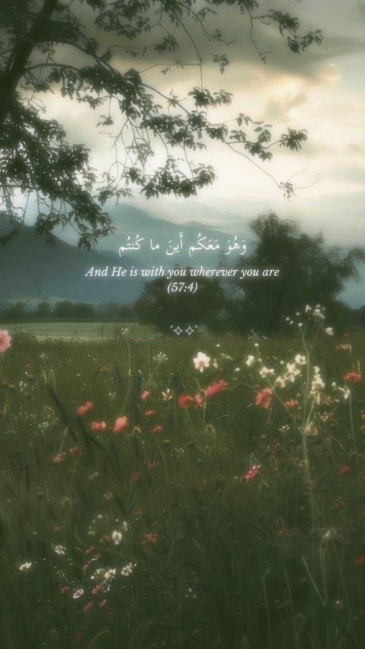 عبد الحميد السيد أبو موسي