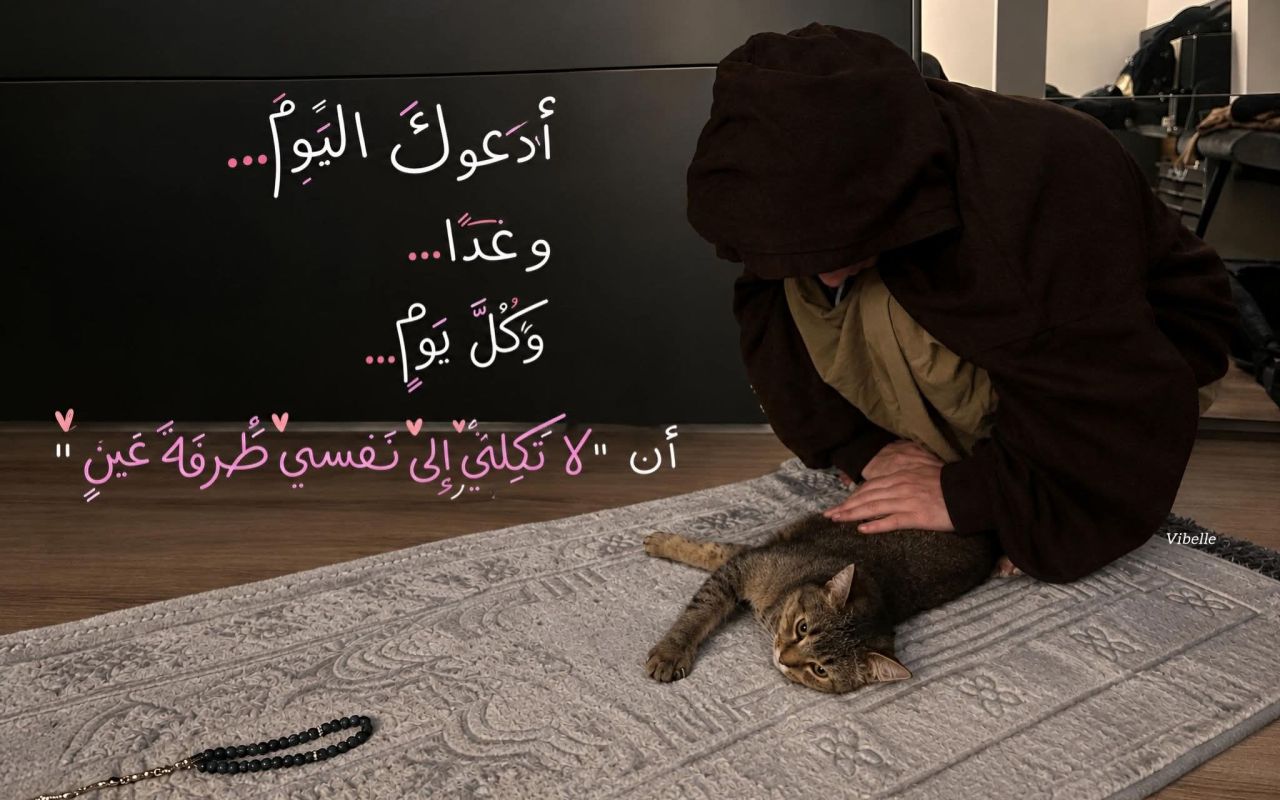 احلام محمد ابراهيم