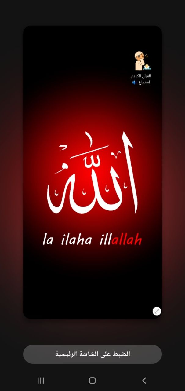 ايمن امين