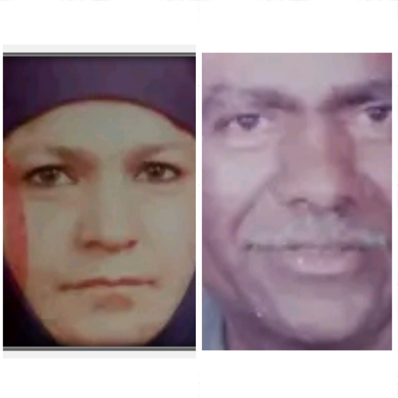 جدى وستى