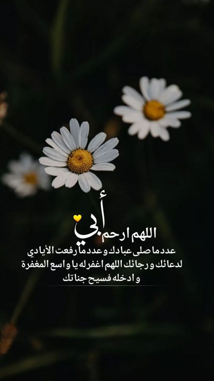 أبي وجدتي (غفر الله لهما)