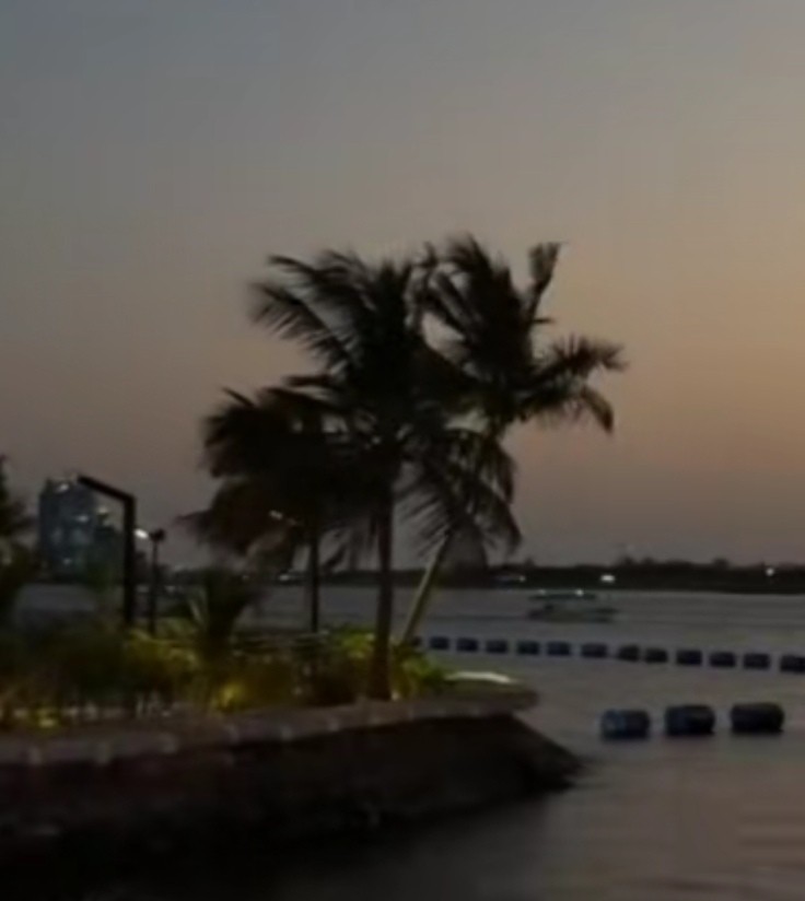راضيه عابدين أحمد