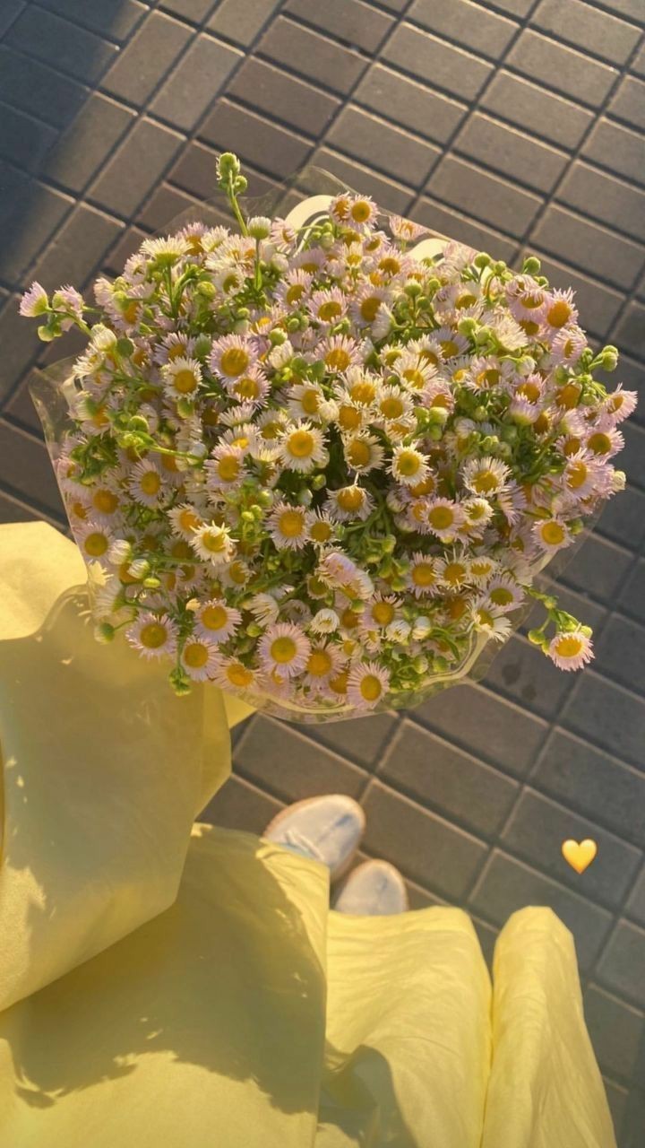 خالتي الحبيبة🌷❤️‍🩹