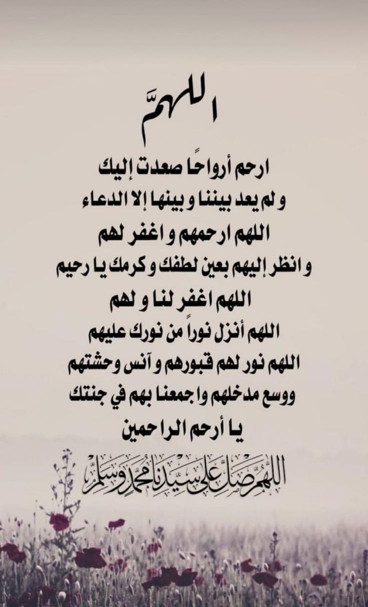 جدي وجدتي وجدي