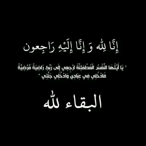 عادل ناشط