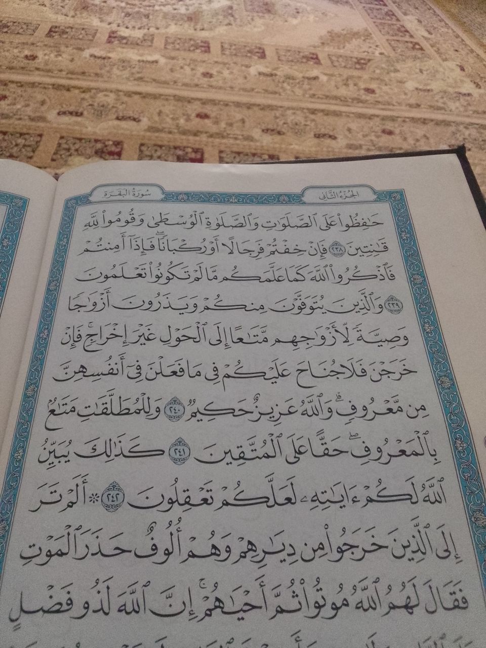 حسان